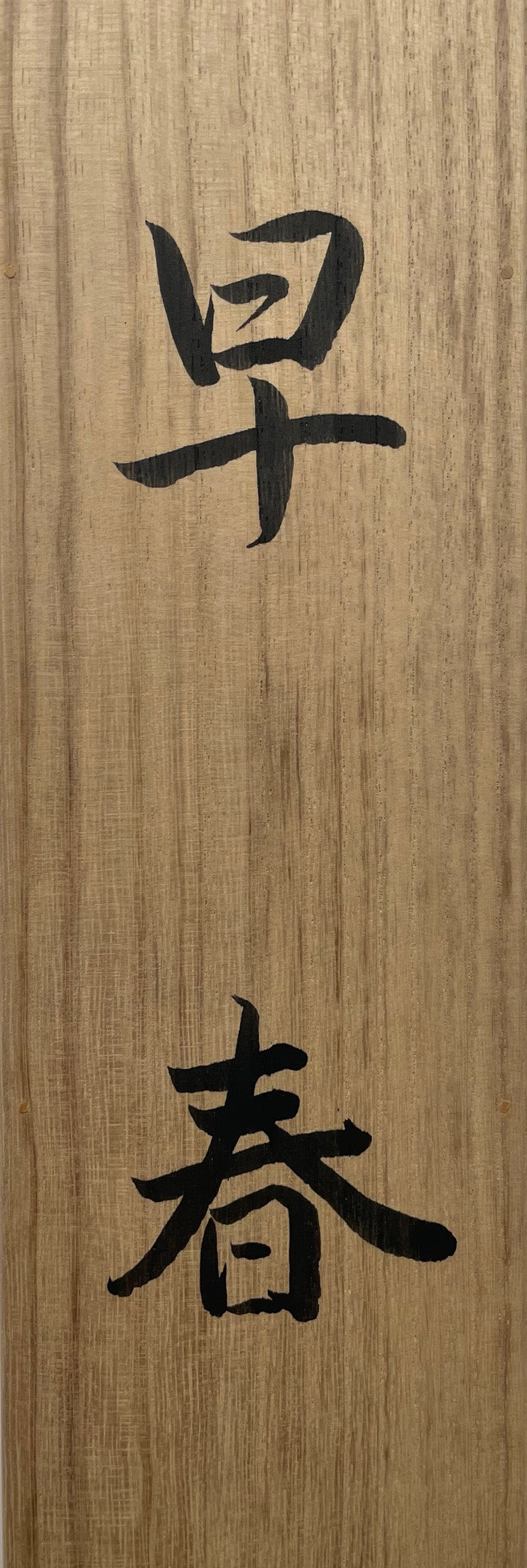 Eisetsu Shiratori - Early Spring(早春)
