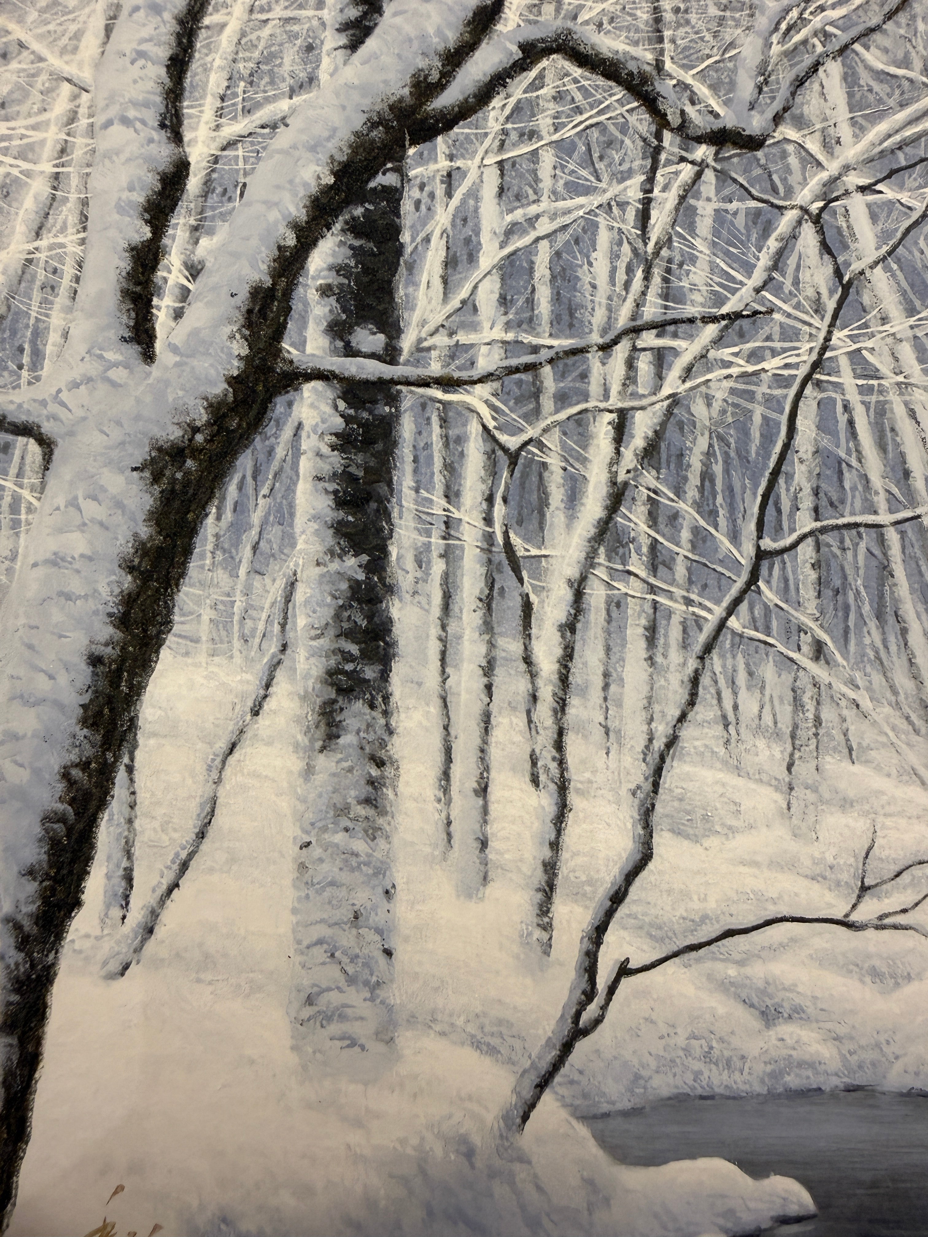 Kazuyuki Futagawa - Winter Scenery at Oirase (奥入瀬冬景)