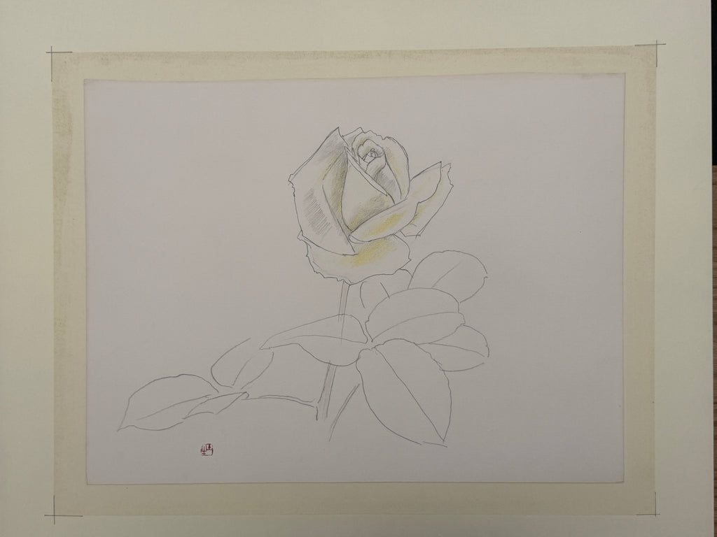 Togyu Okumura - Rose Sketch (薔薇素描)