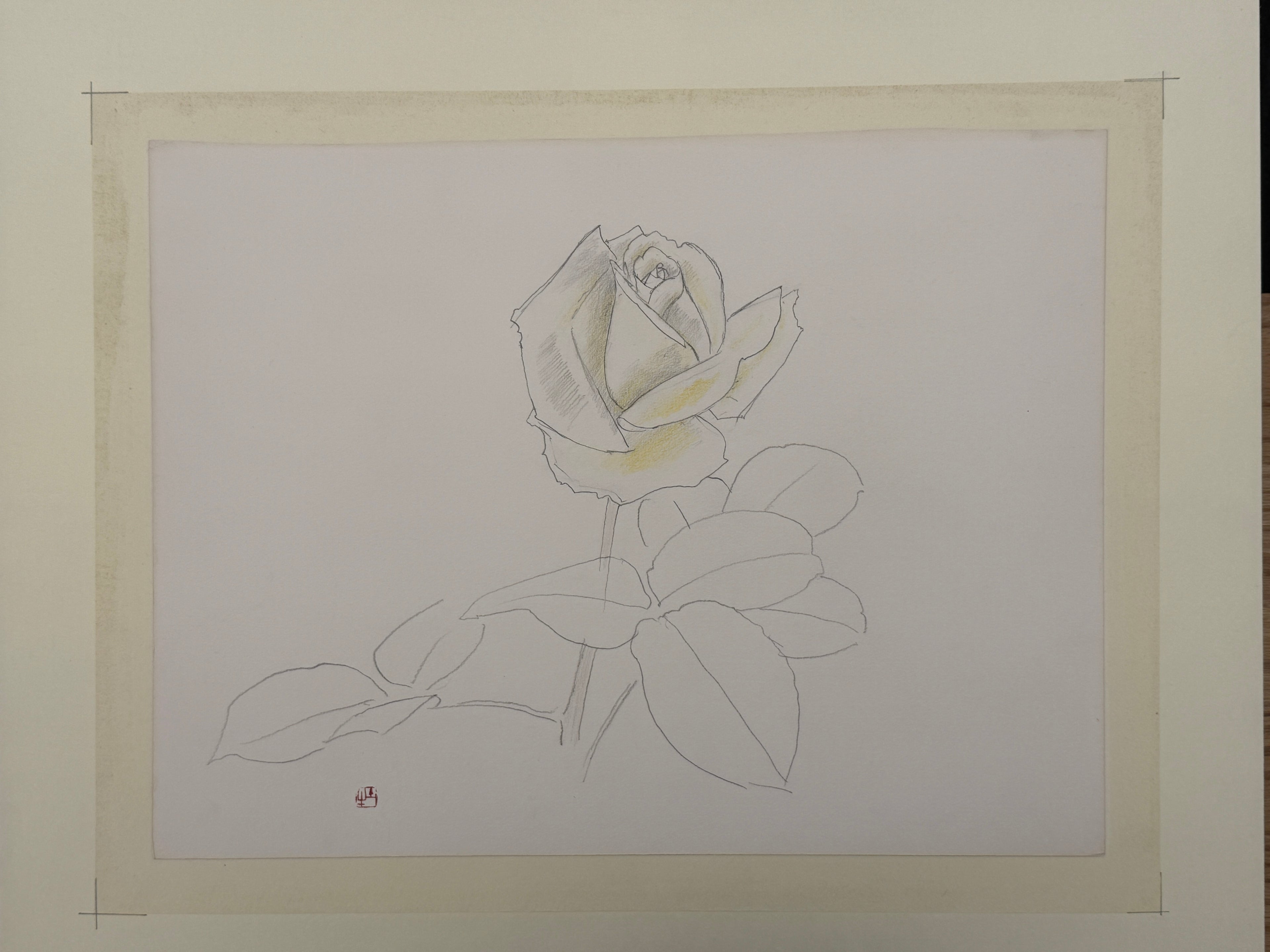 Togyu Okumura - Rose Sketch (薔薇素描)