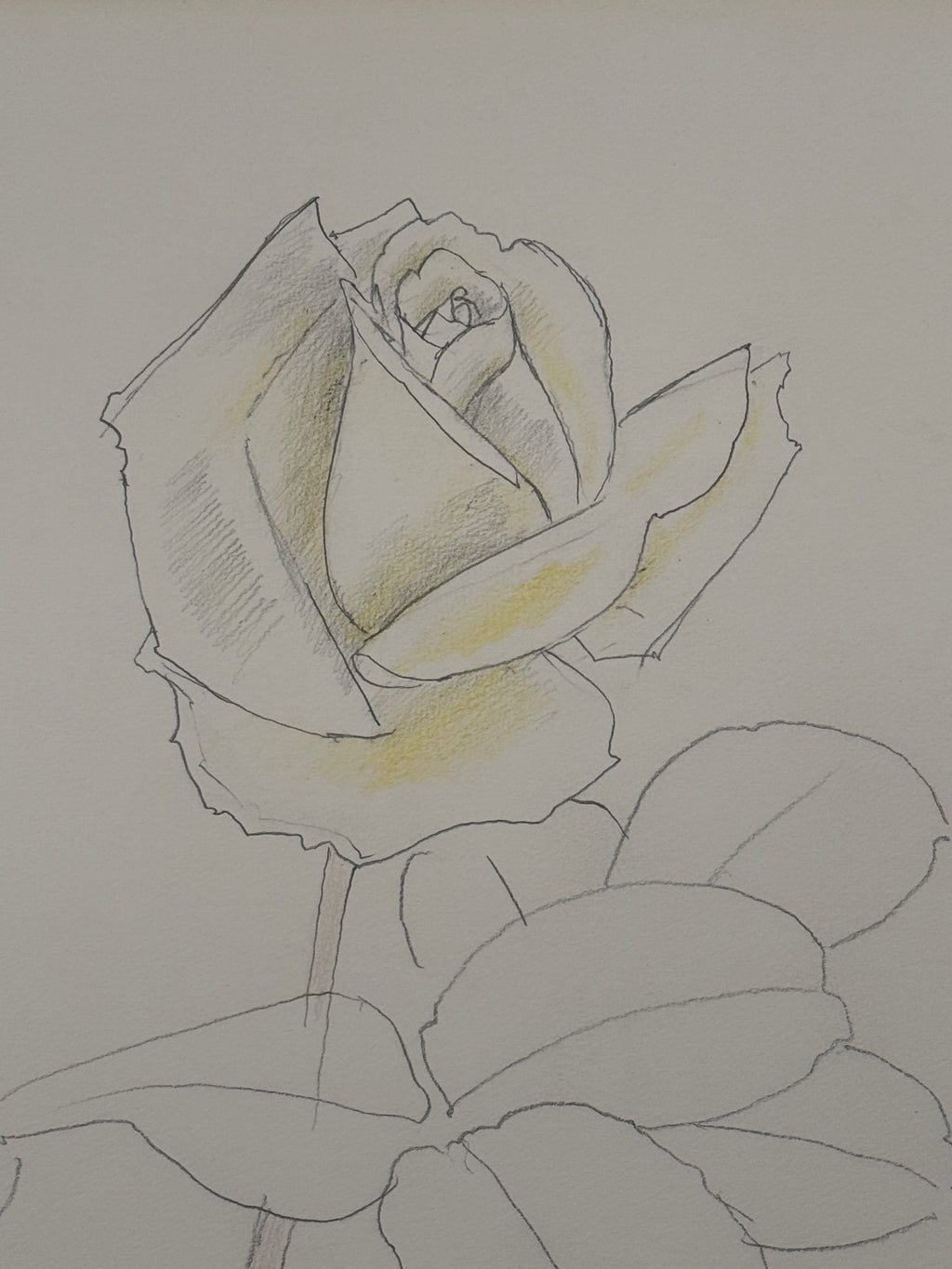 Togyu Okumura - Rose Sketch (薔薇素描)