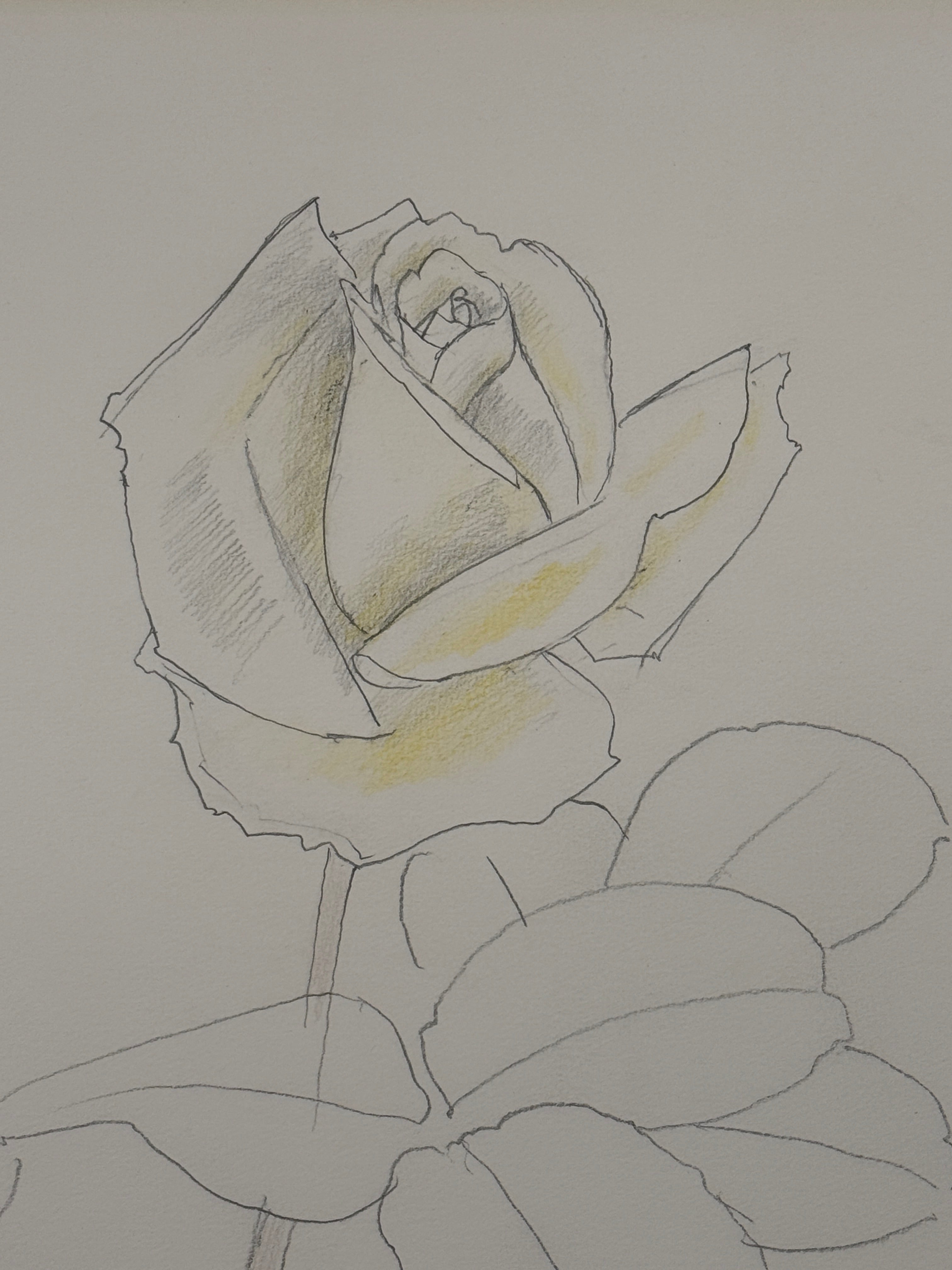 Togyu Okumura - Rose Sketch (薔薇素描)
