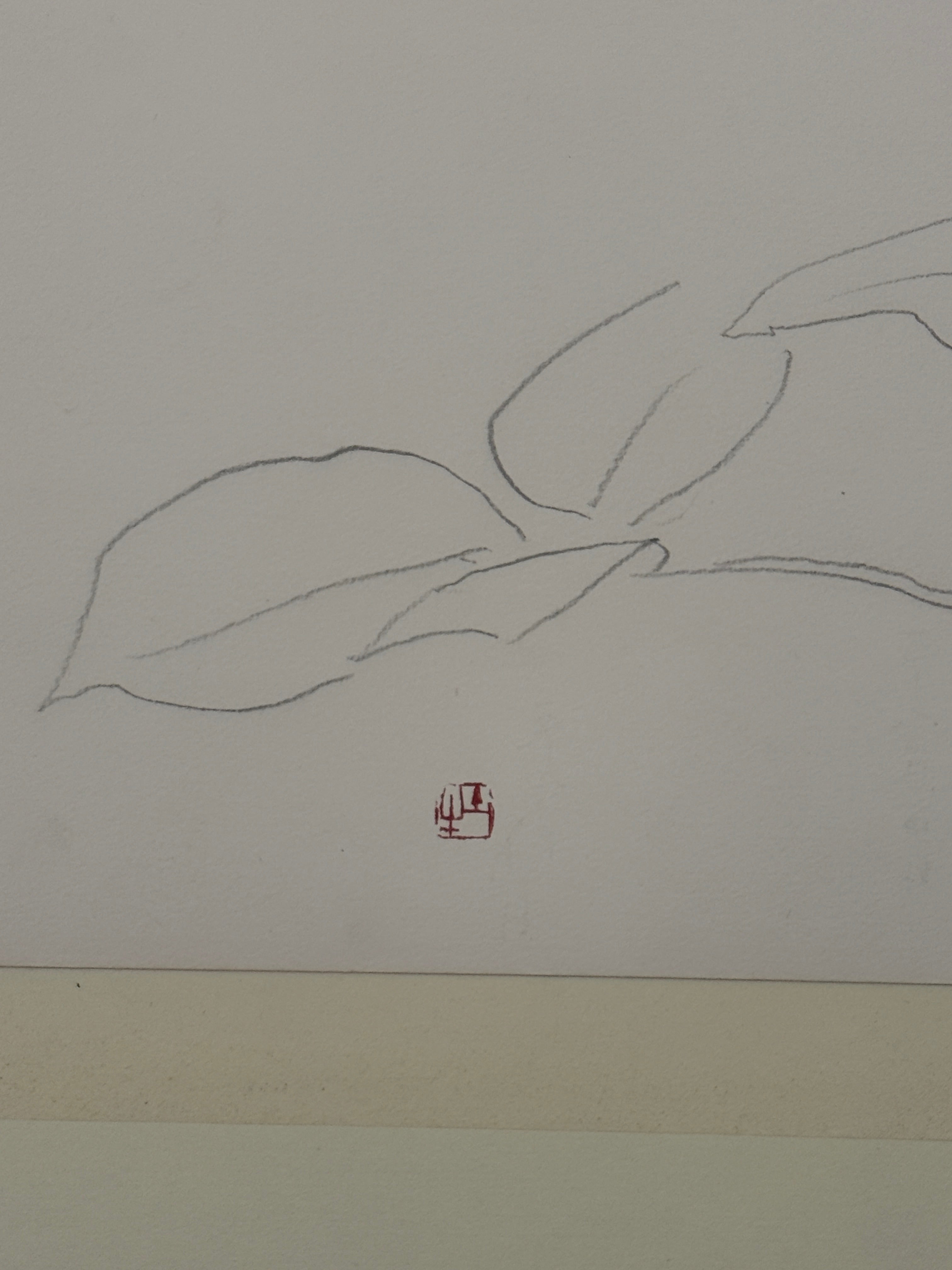 Togyu Okumura - Rose Sketch (薔薇素描)