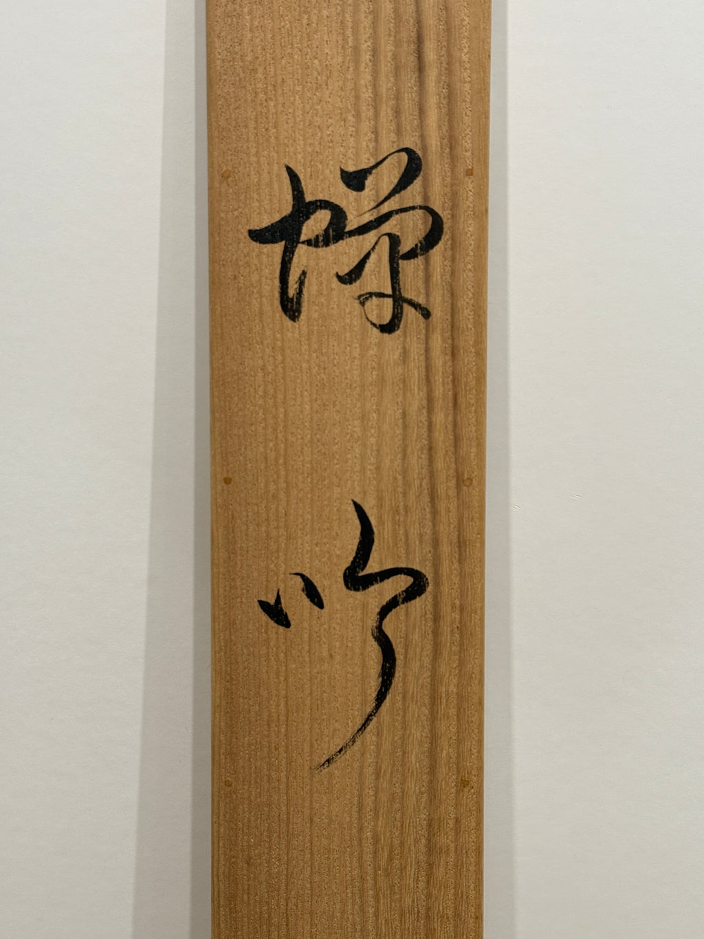 Gakuryo Nakamura - Song of the Cicada (蝉吟)