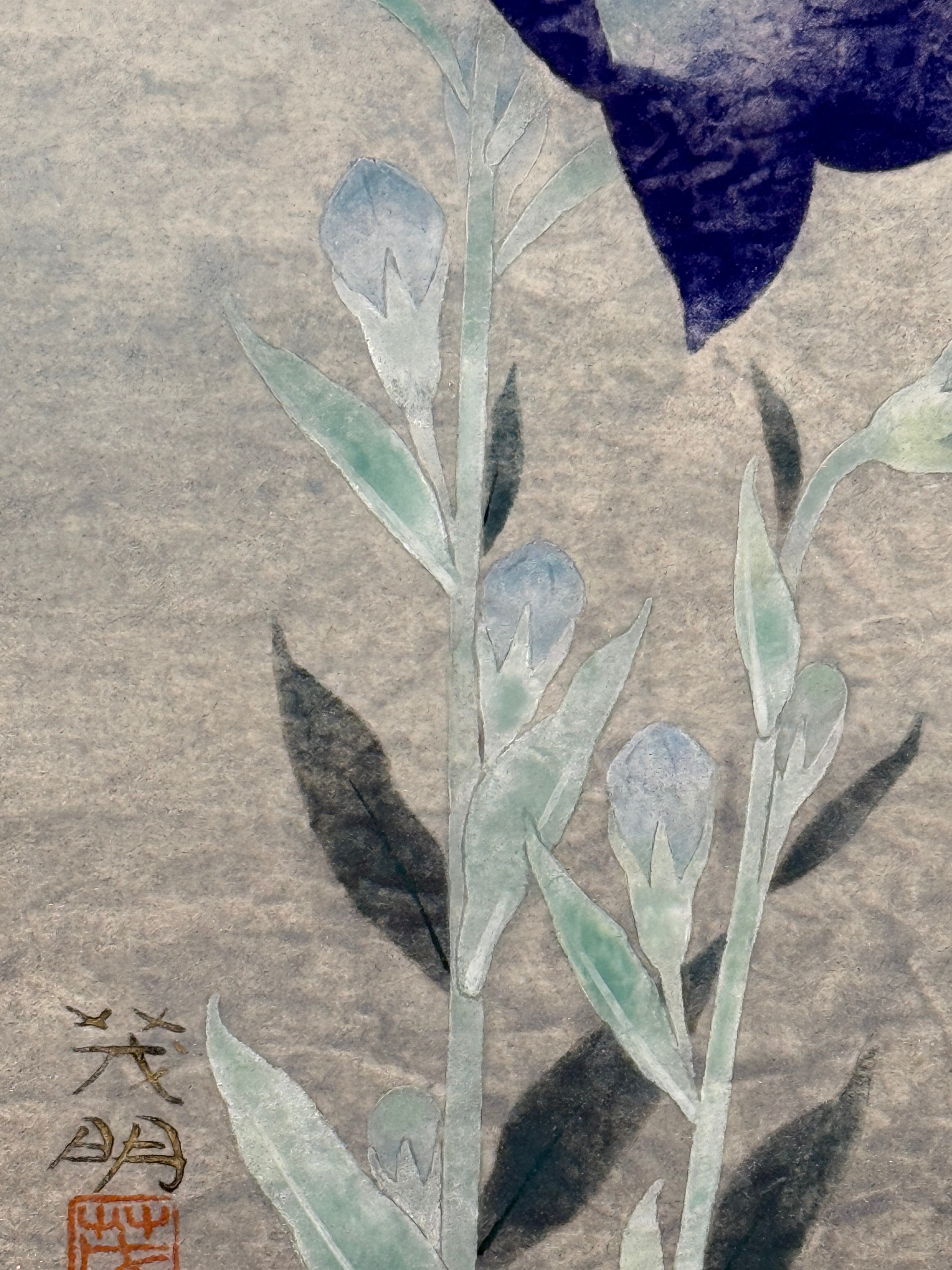 Shigeaki Kuromitsu - Chinese Bellflower (桔梗)