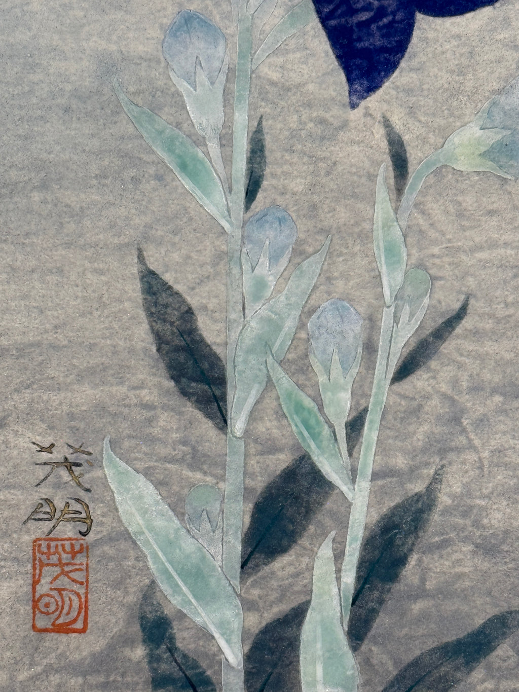 Shigeaki Kuromitsu - Chinese Bellflower (桔梗)