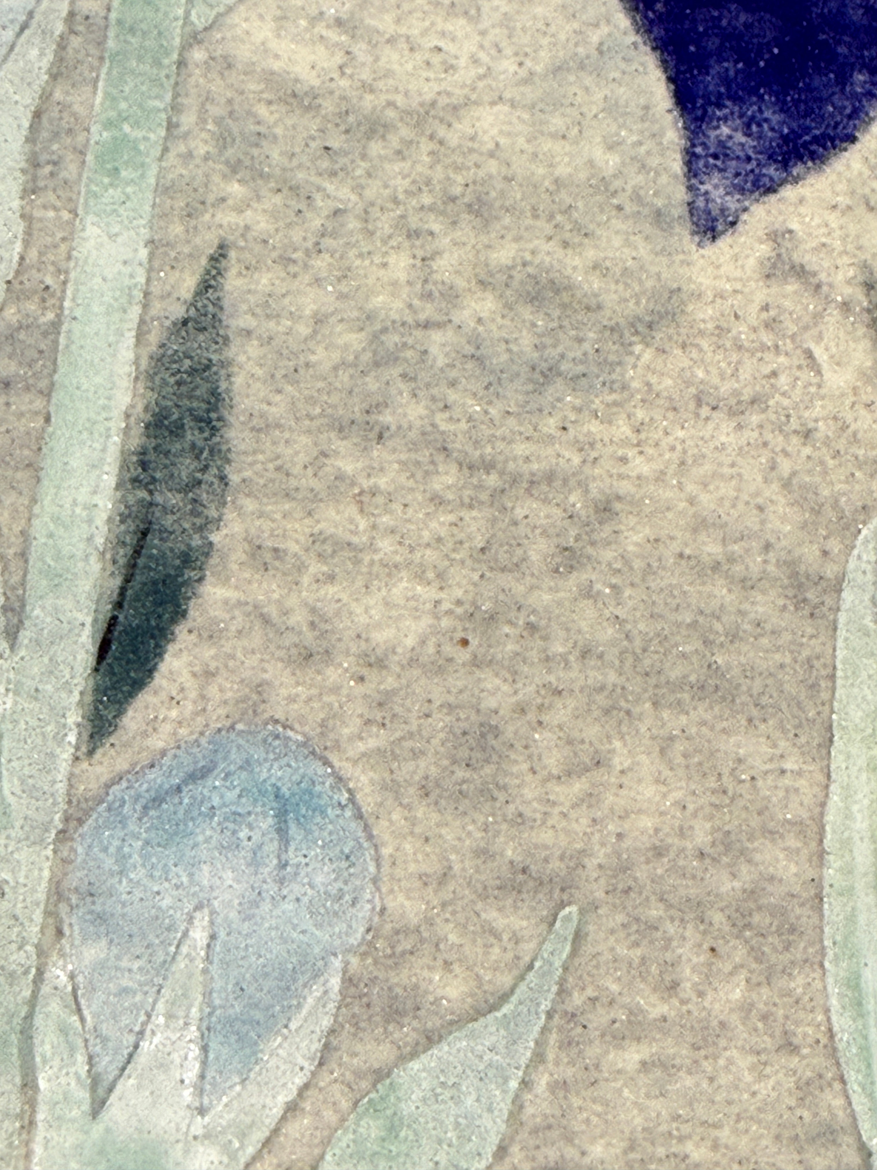 Shigeaki Kuromitsu - Chinese Bellflower (桔梗)