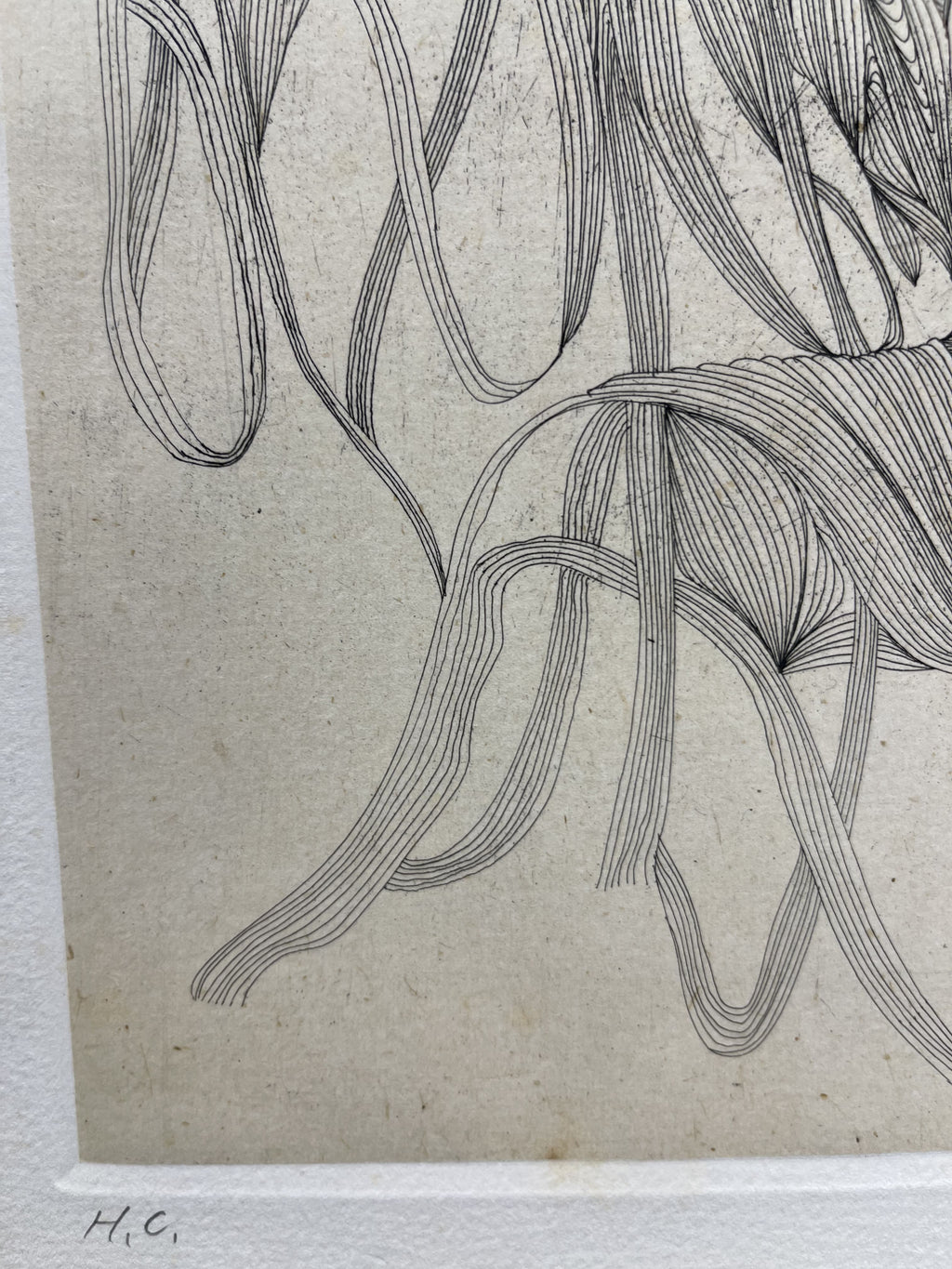Matazo Kayama - Deer (鹿)