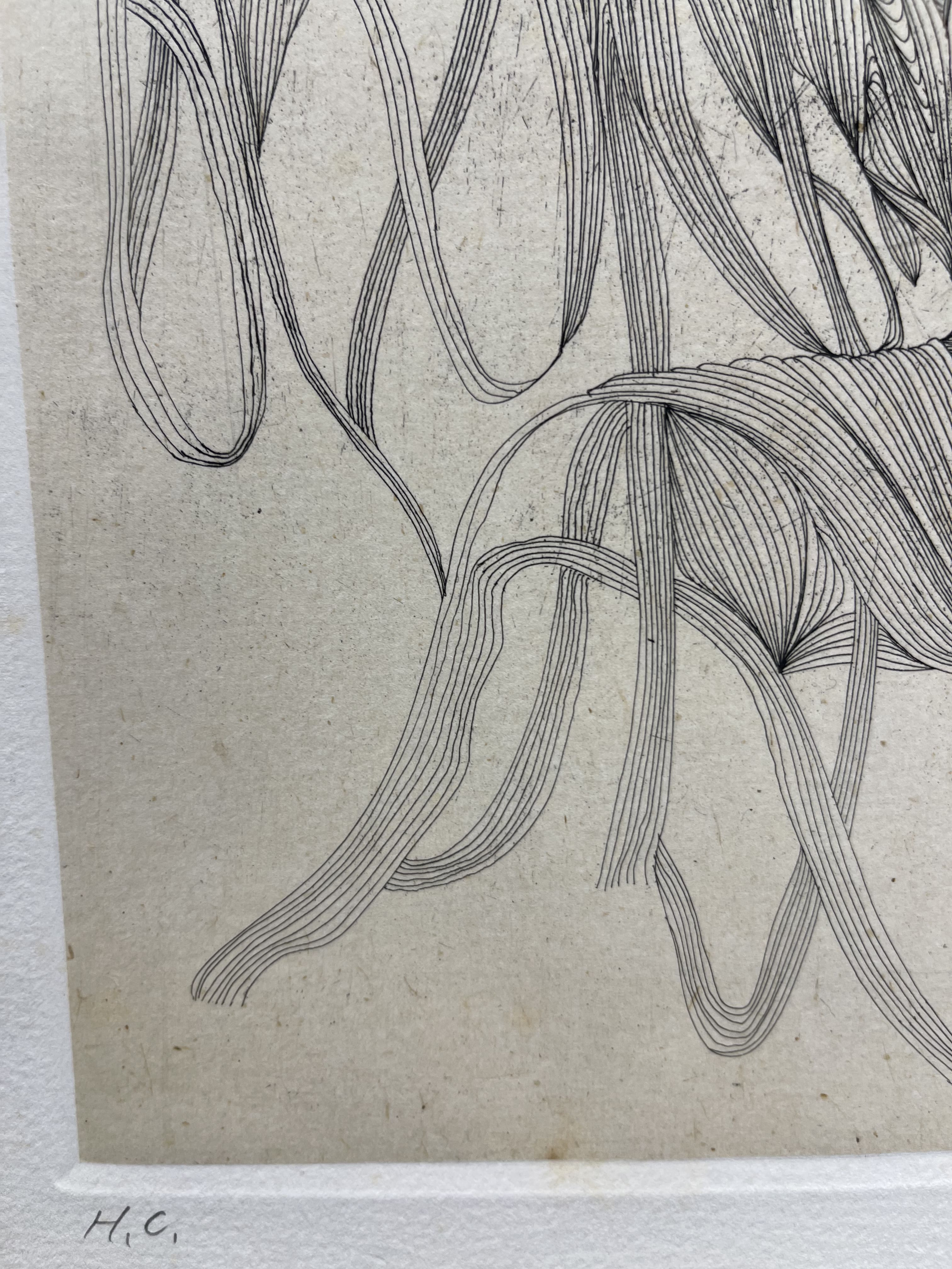 Matazo Kayama - Deer (鹿)
