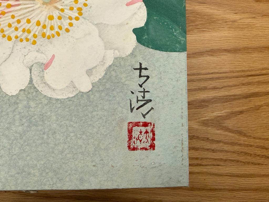 Taisei Sato - Higo Camellia (肥後椿)