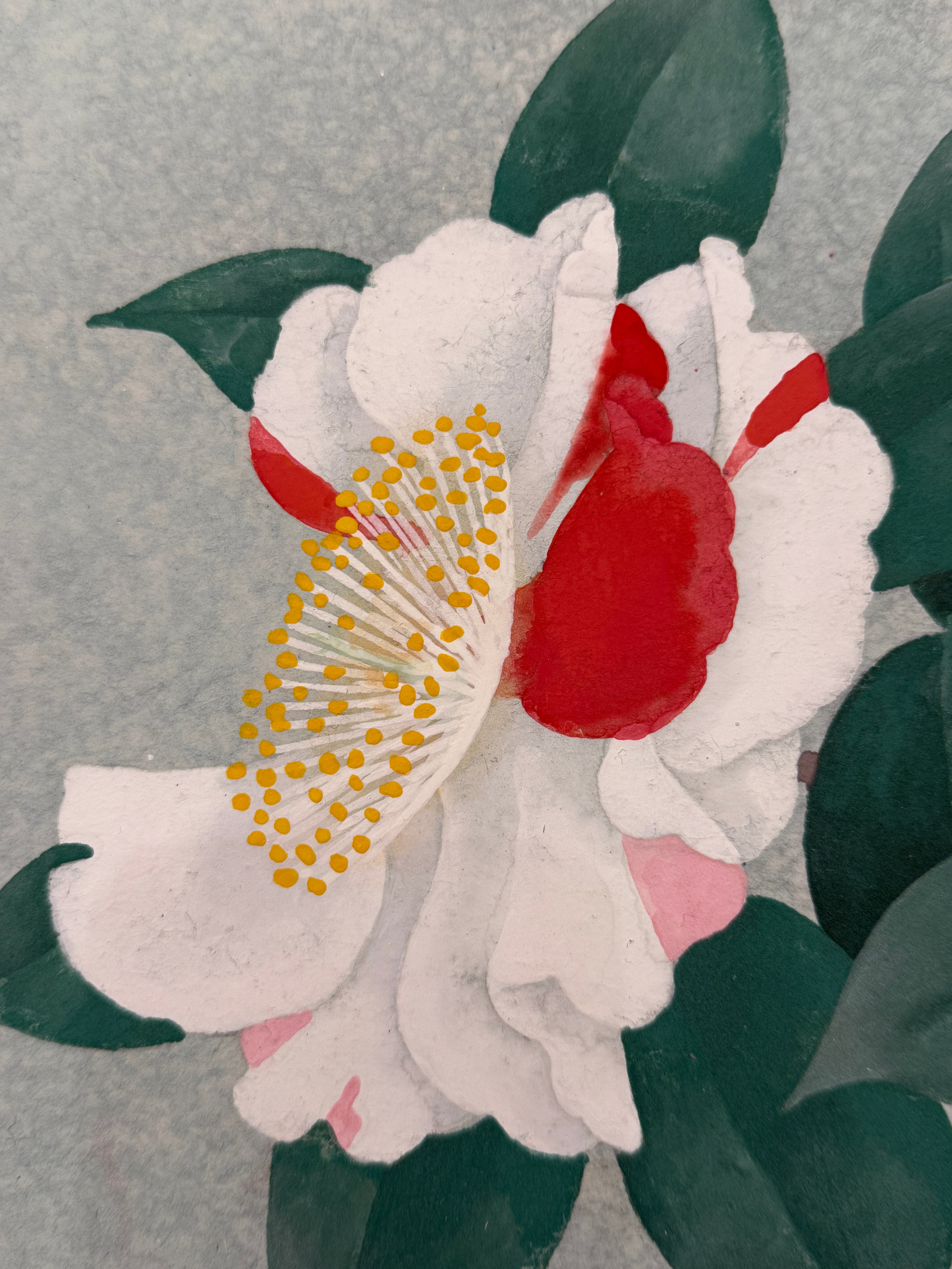 Taisei Sato - Higo Camellia (肥後椿)