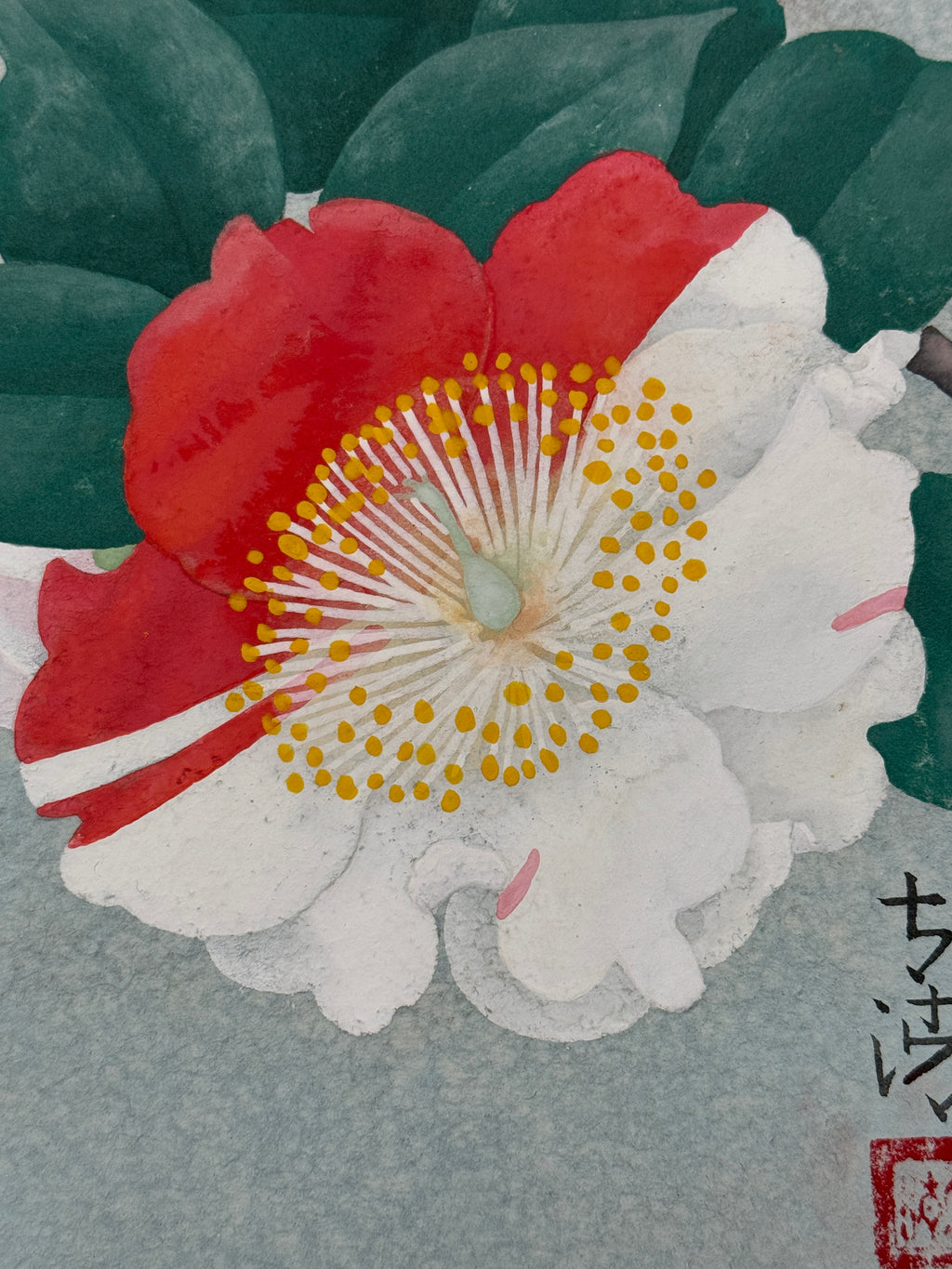 Taisei Sato - Higo Camellia (肥後椿)