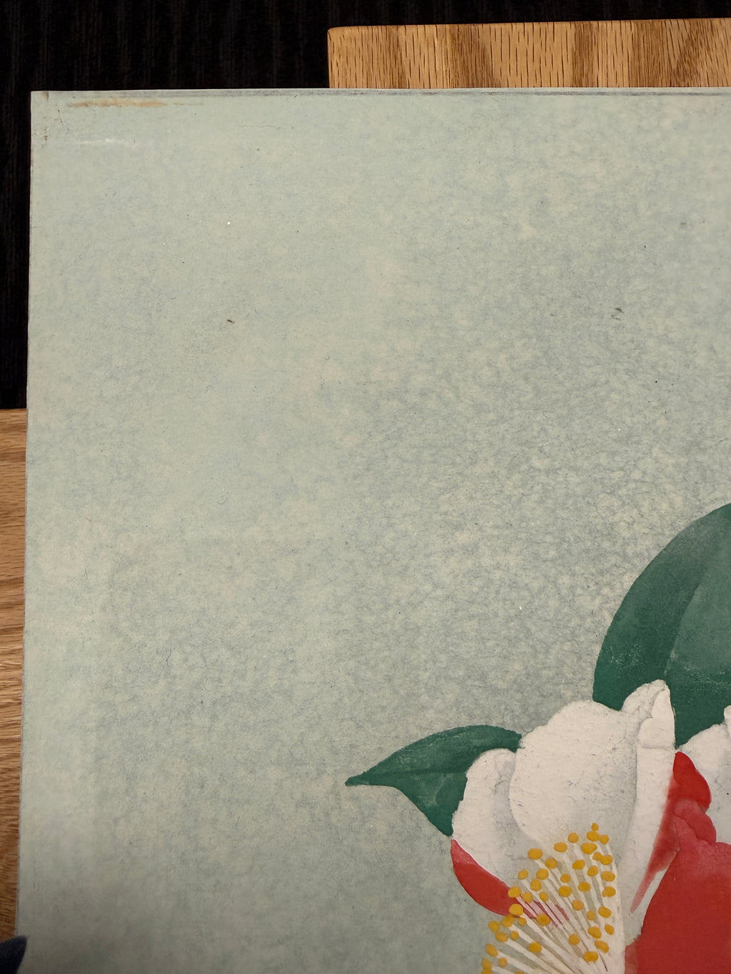 Taisei Sato - Higo Camellia (肥後椿)