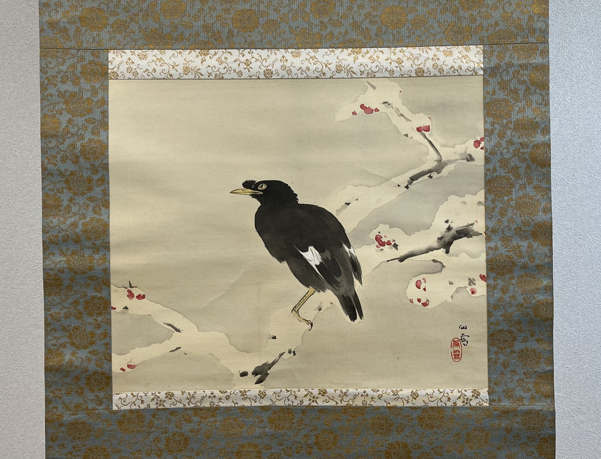 Kansetsu Hashimoto - Myna Bird in Snow (雪中哥鳥)