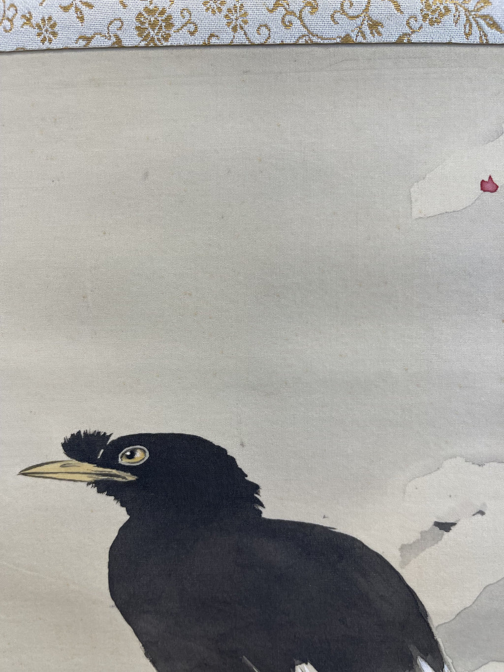 Kansetsu Hashimoto - Myna Bird in Snow (雪中哥鳥)