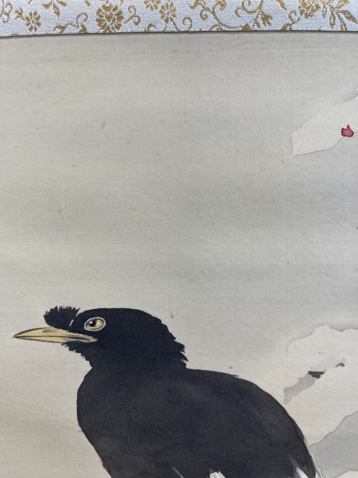 Kansetsu Hashimoto - Myna Bird in Snow (雪中哥鳥)