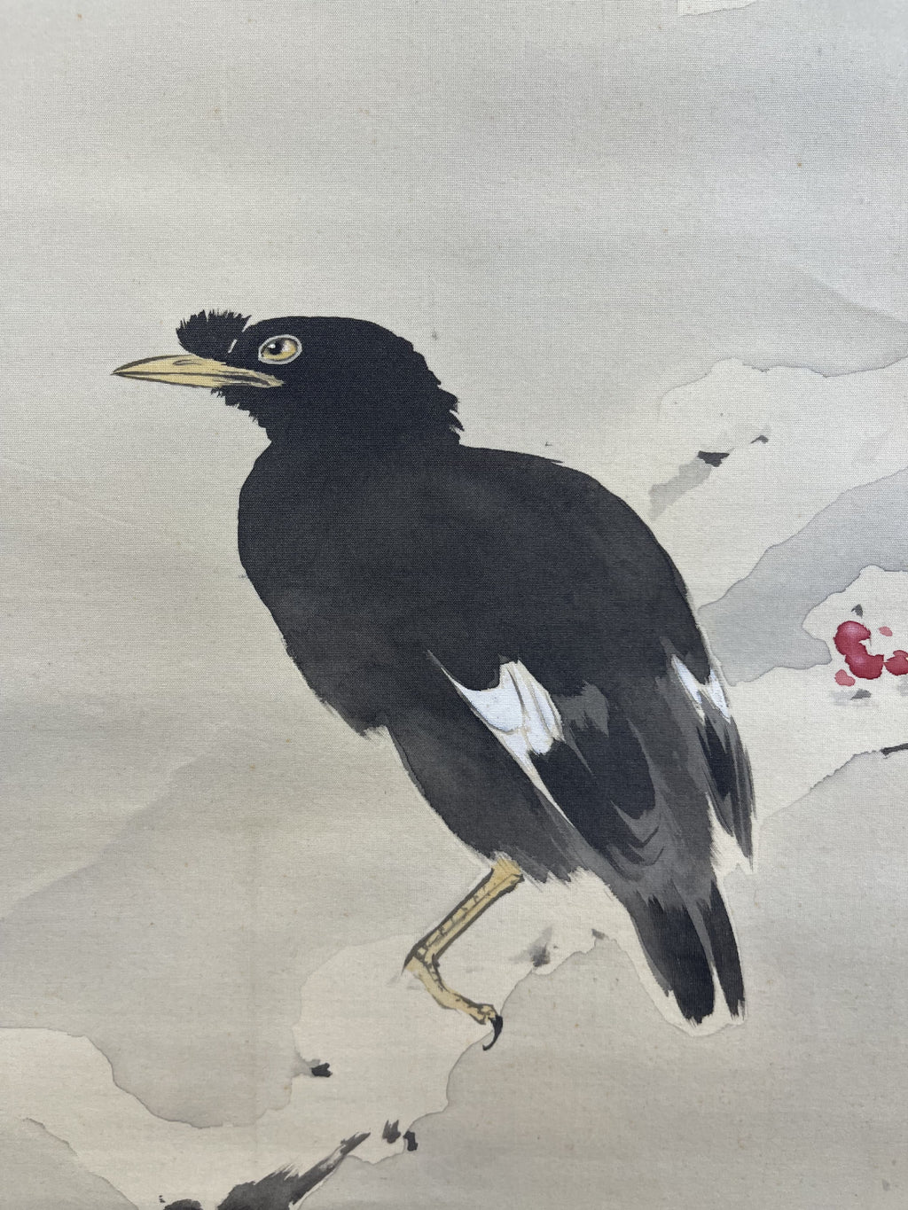 Kansetsu Hashimoto - Myna Bird in Snow (雪中哥鳥)